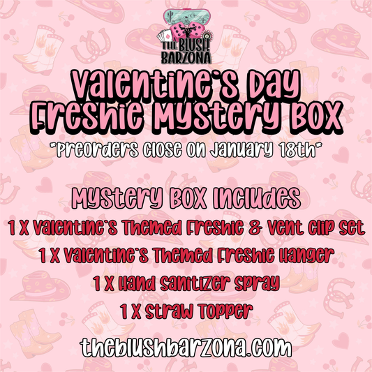 Valentine's Day Freshie Mystery Box