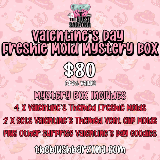 Valentine's Day Freshie Mold Mystery Box
